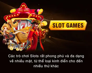Dịch vụ hỗ trợ khách hàng VG99 24/7